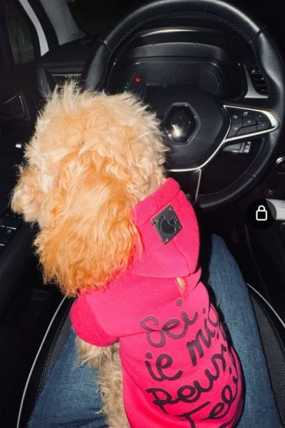 Hunny Pets UGC social