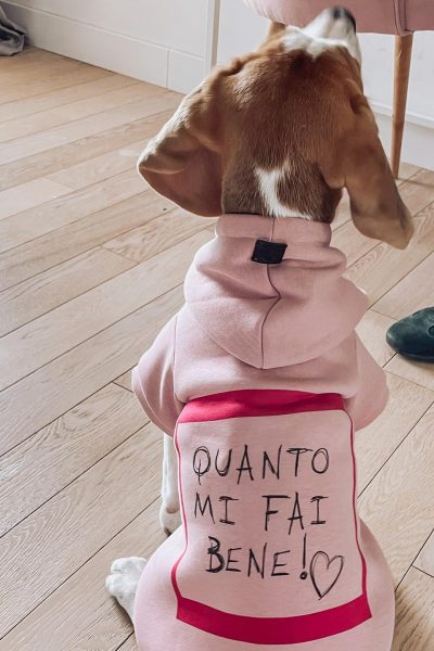 Hunny Pets UGC social